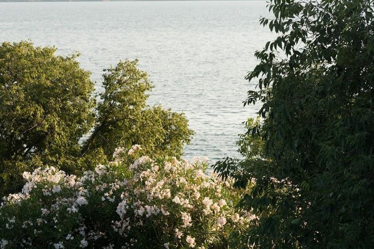 Apartment Eva Maslenica Zewnętrze zdjęcie